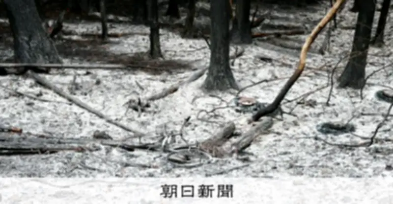 岩手・大槌の山林火災、火勢は制御下に 28日夕から雨予報で収束期待