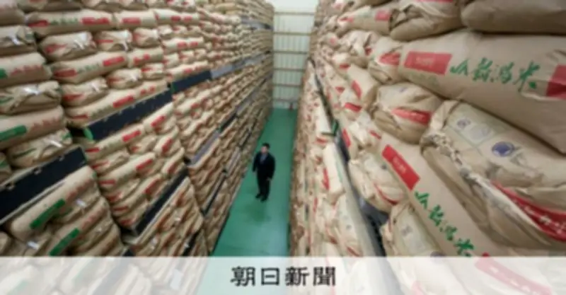 備蓄米政府買い入れ、2回目で落札率82.6%に急増 計17万トン