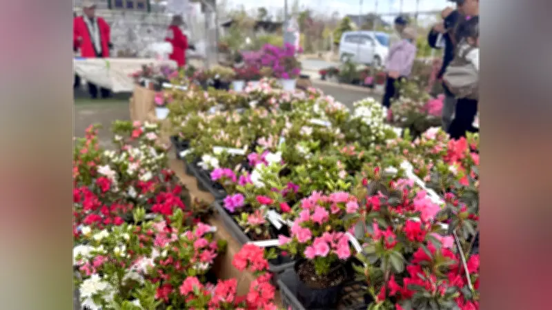 久留米つつじまつり開幕、3万種100万本の花々が春の訪れを告げる