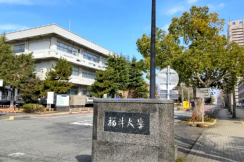 慢性副鼻腔炎の原因細胞を特定、4タイプに分類 福井大学などが症状に合わせた治療に期待