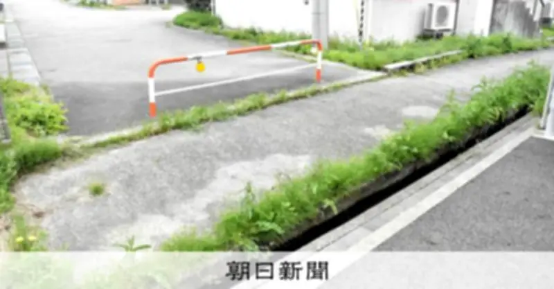 富山市住宅街でクマ襲撃、40代女性重傷 緊急銃猟で駆除