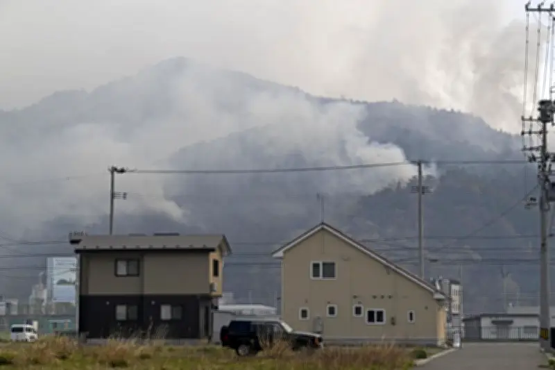岩手・大槌の山林火災、400ヘクタール焼失　消火活動続く