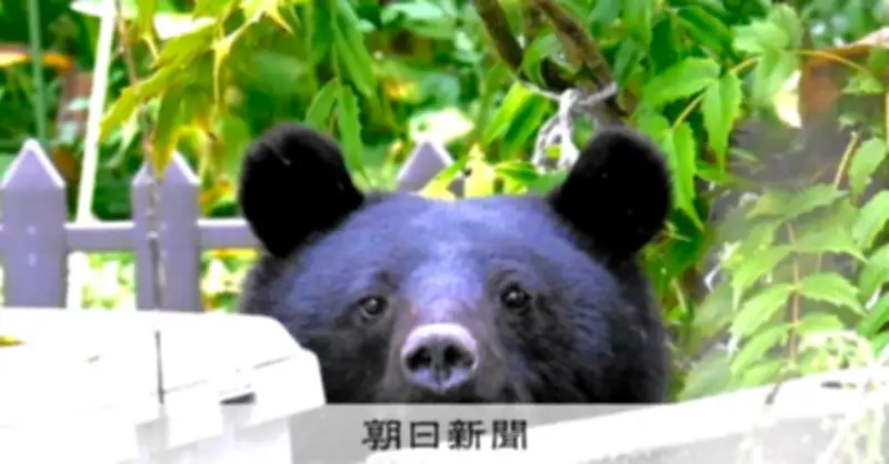 秋田県がクマ警報を発令 4月の目撃件数が昨年比3.4倍に急増