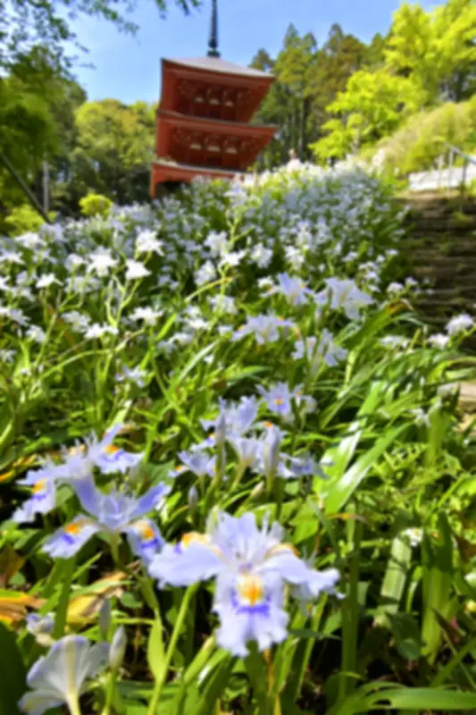 福島県沖で地震、最大震度5弱 津波の心配なし