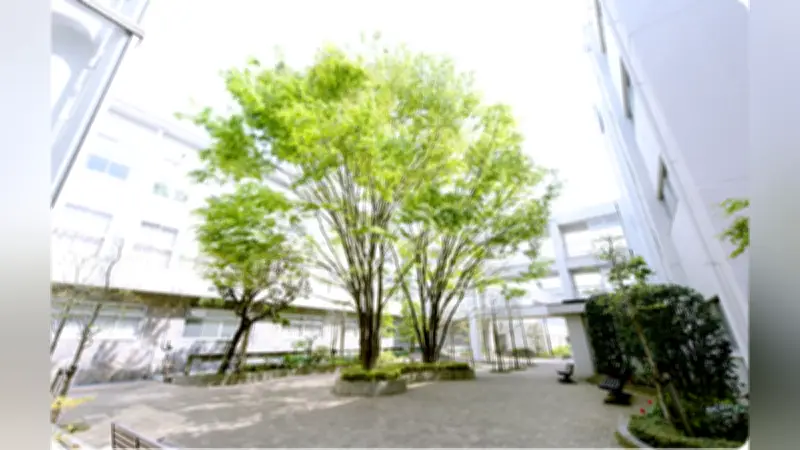 国立音大附中、5月9日に中学校説明会を開催 音楽教育の魅力を紹介