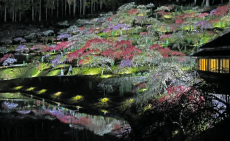 パリ五輪の日本選手団、史上最多の約600人規模へ…組織委が発表