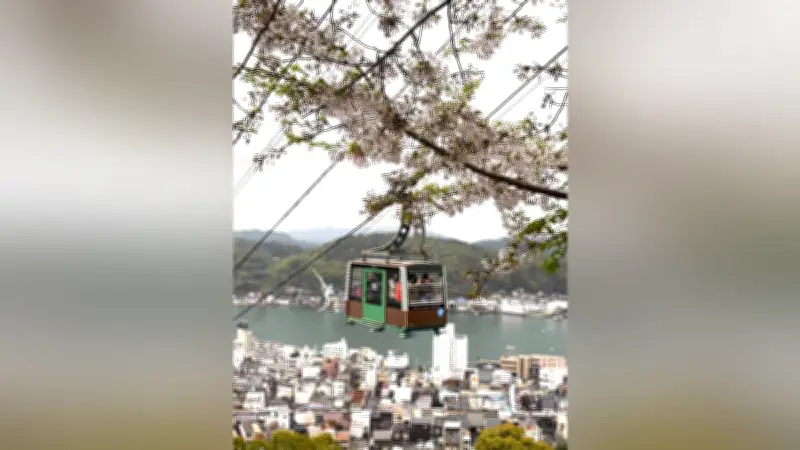 千光寺山ロープウェイ、昨年度乗客数が過去最多61万9339人を記録