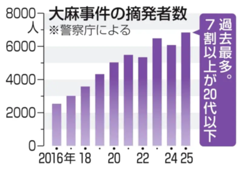 大麻摘発者数が過去最多の6832人に 20代以下が7割占め若年層への拡大深刻化