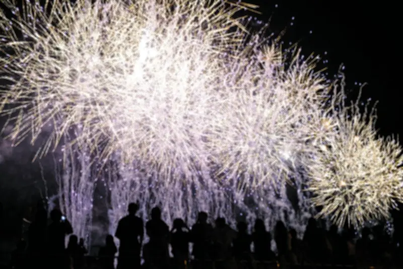 葛飾納涼花火大会、7月28日に開催決定 60回記念で2万発の迫力ショー