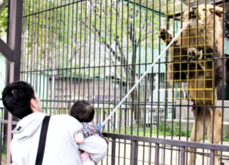 福島県、AI活用した農業支援システムを本格導入へ