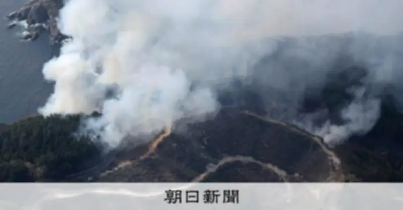 岩手・大槌町山林火災 乾燥・針葉樹・リアス地形が延焼拡大の要因に 専門家が分析