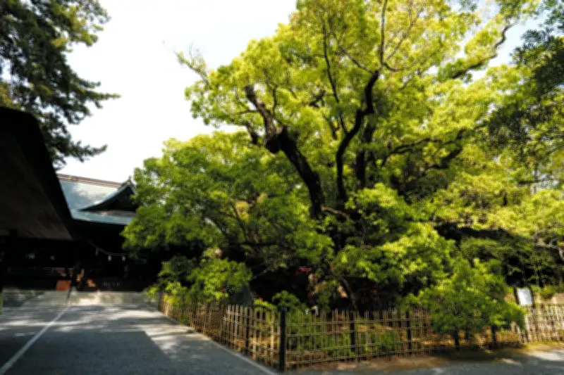 静岡・浜松八幡宮で王位戦開幕、家康ゆかりの地で藤井聡太六冠が防衛戦