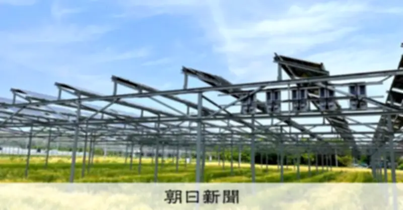 農地の太陽光発電、規制強化へ　営農継続条件なのに農業しない事例が相次ぐ