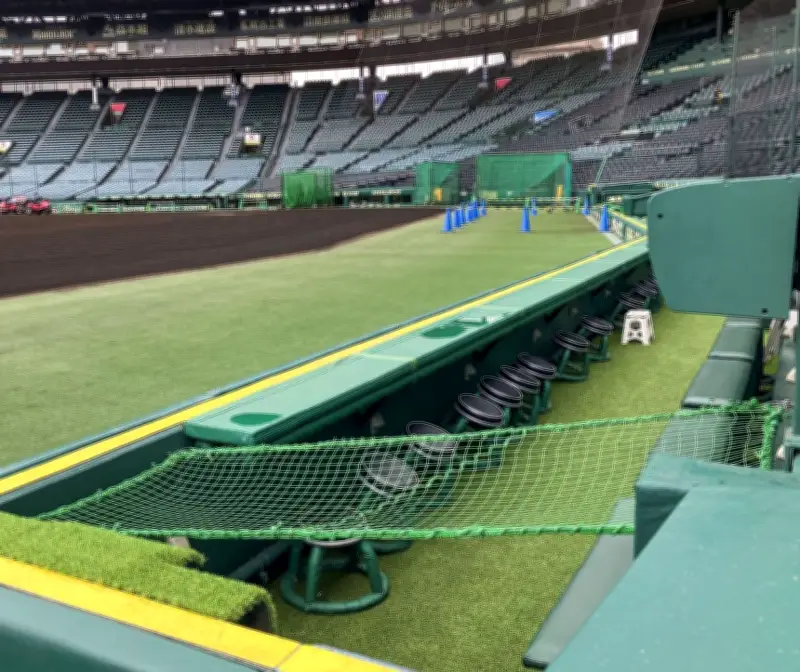 甲子園球場、カメラマン席に転落防止ネット設置　選手の安全確保へ
