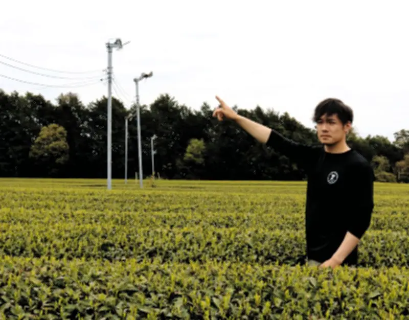 静岡で金属盗被害拡大、茶農家が防霜ファンの銅線盗難に悲痛な訴え「泣き寝入りの状況」