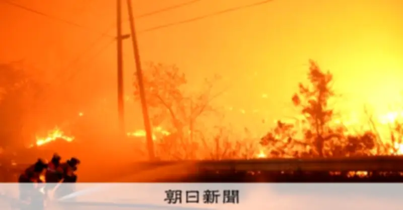 岩手・大槌の山林火災、民家延焼を防げた理由と焼損拡大の要因