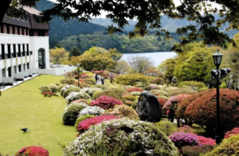 箱根「山のホテル」大株ツツジ色づく庭園、ツアーも開催