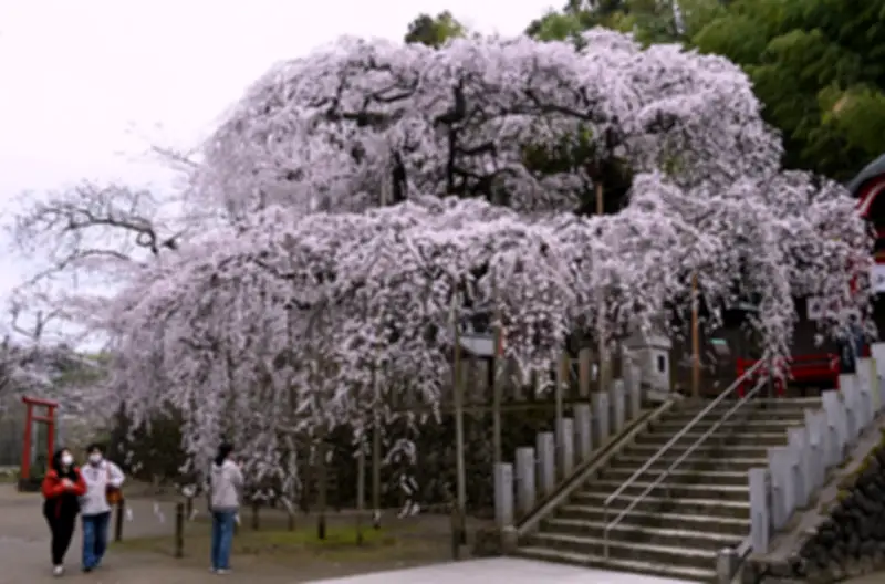 福島県で新たな放射性物質の漏洩が発覚、周辺住民に避難指示