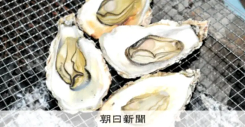 瀬戸内海でカキ大量死、高水温や酸欠が原因 過密養殖の見直し議論進む