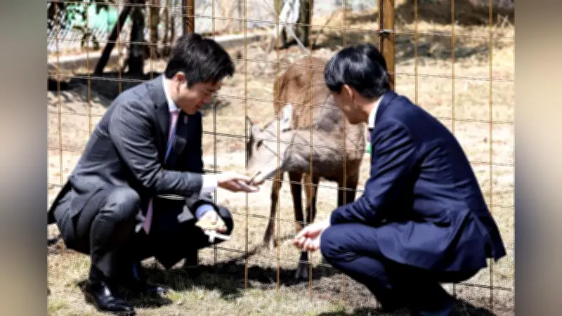 大阪で捕獲のシカ「シカやん」命名 吉村知事が鹿せんべいで歓迎、能勢町キャンプ場で新生活