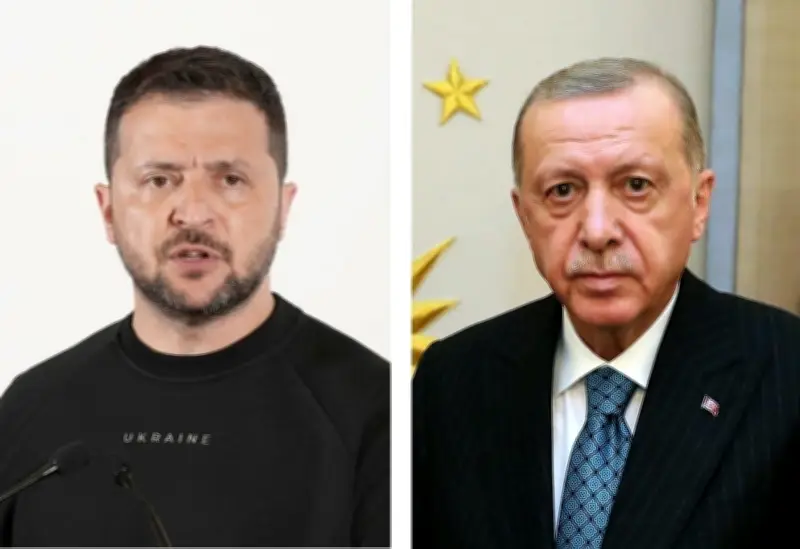 ウクライナとトルコ、安全保障協力で合意　黒海の安定と和平交渉支援を協議