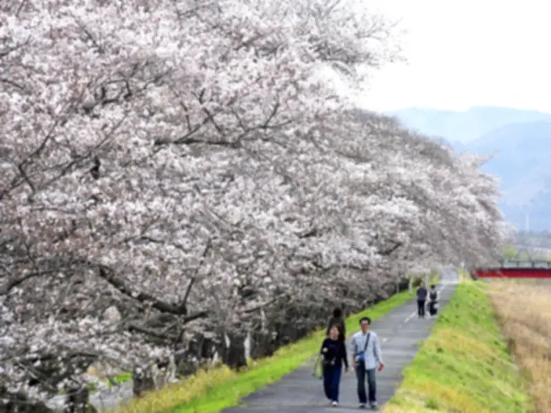 福島県の新たな観光戦略が発表、復興の歩みを加速させる取り組み