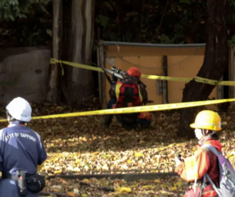 環境省がクマ緊急銃猟ガイドライン改定 実施事例を詳細に追加し対応強化