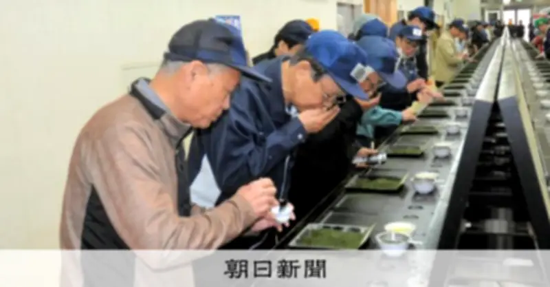 鹿児島新茶初取引、過去最高値で勢い「日本一」 抹茶ブーム追い風も重油確保に不安
