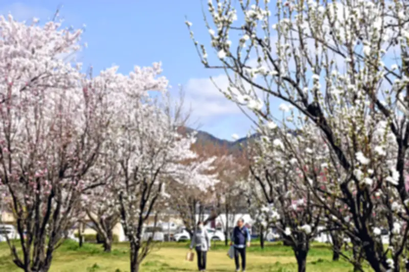 福島県の新たな観光戦略、地元食材と伝統文化を活用した地域活性化プロジェクト始動
