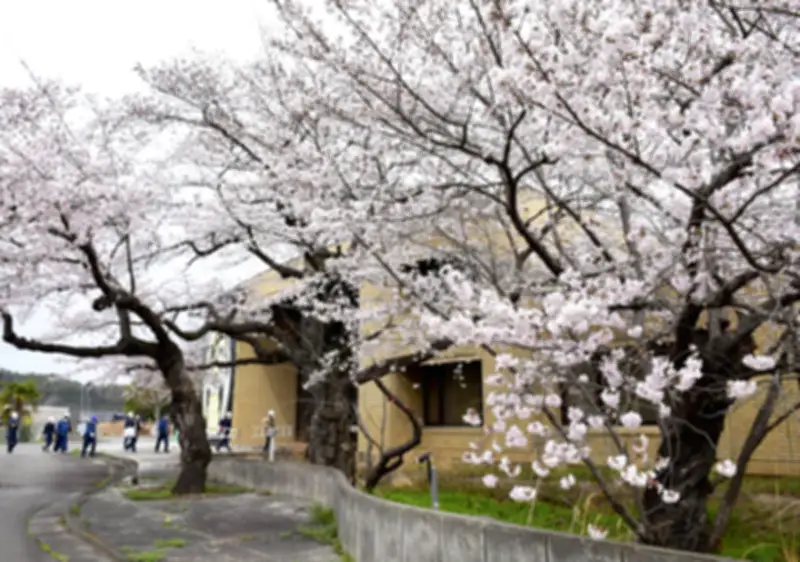 旧双葉町図書館と歴史民俗資料館が解体へ 震災・原発事故から復興の新たな一歩