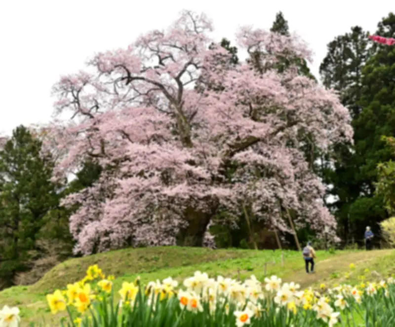 福島県の新たな観光戦略、地元の魅力を再発見し持続可能な地域活性化を目指す