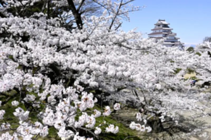 福島県の新たな観光振興策、デジタル技術を活用した地域活性化プロジェクトが始動