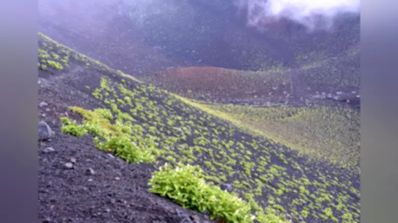 富士山宝永第一火口で心肺停止の男性発見、ポーランド人救助者が日本人滑落目撃と証言