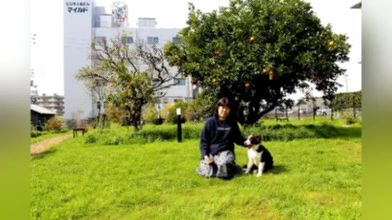 ワクチン未接種の高齢犬や病気の犬も歓迎、愛媛で特別ドッグランイベント開催