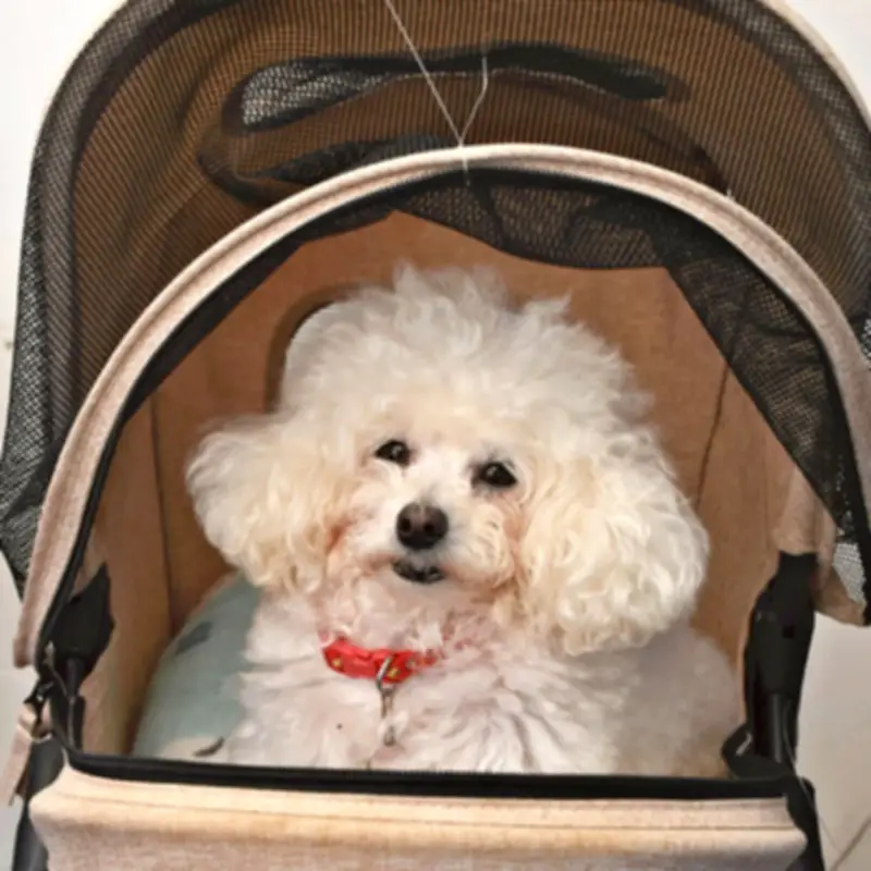 福島県の新たな観光戦略、伝統工芸と自然体験を融合した地域活性化プロジェクト始動