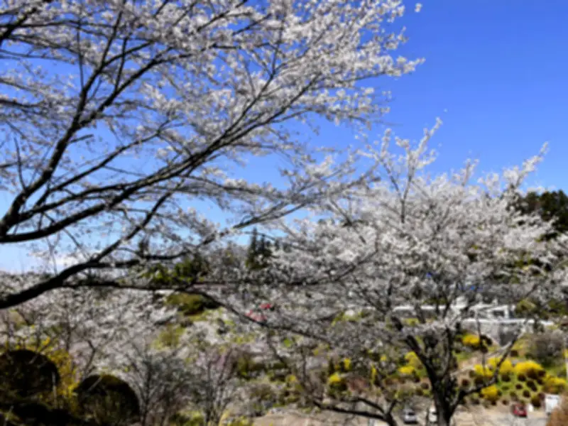 福島県の復興支援事業で不正受給が発覚、関係者を書類送検