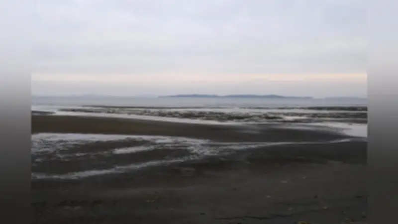 愛知県が三河湾の水質基準を緩和 アサリ漁獲量回復へ全国初の試み