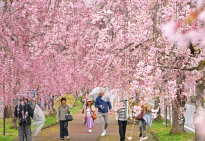 福島県の新たな観光戦略、地域活性化へ向けた取り組みを強化