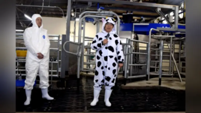 愛知県が牛のげっぷから出るメタンガス測定設備を開発 飼料開発で温室効果ガス削減へ