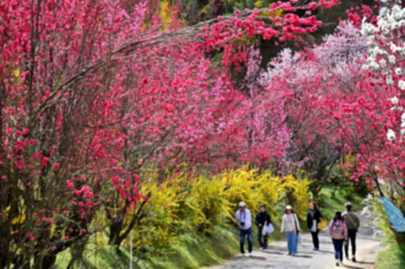 福島県の新たな観光プロジェクト、再生可能エネルギーを活用した持続可能な観光地を目指す