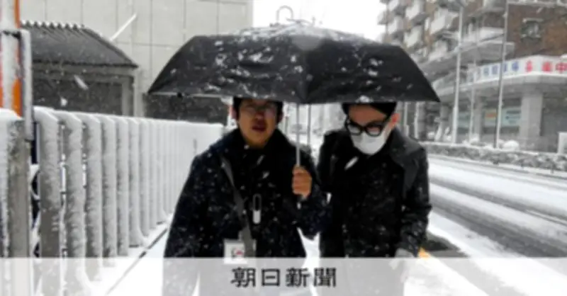 盲ろう者の投票の壁を乗り越えて 雪の中の衆院選で託された一票の思い