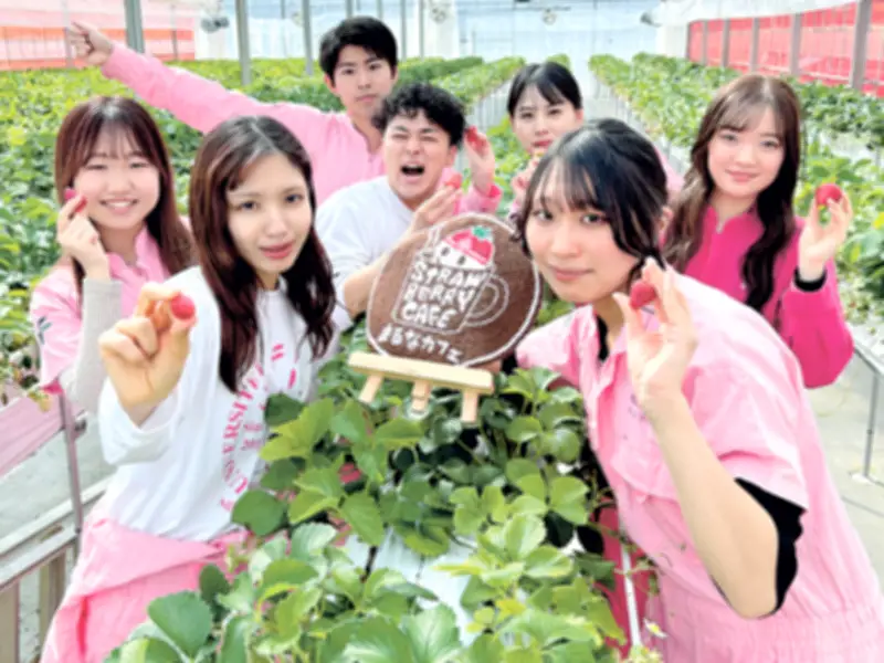 福島大生が「合格祈願イチゴ」開発 逆境を乗り越える甘さで受験生応援