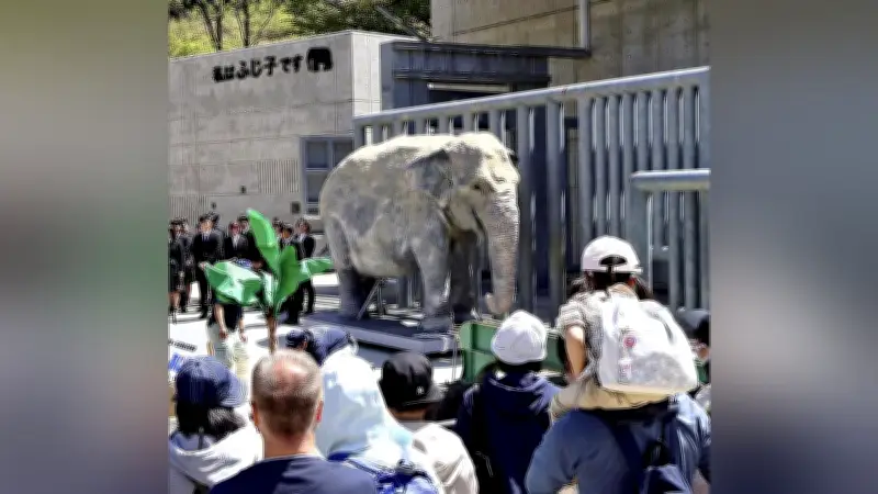 岡崎城西高生が制作したアジアゾウ「ふじ子」の実物大像、岡崎市東公園動物園に寄贈