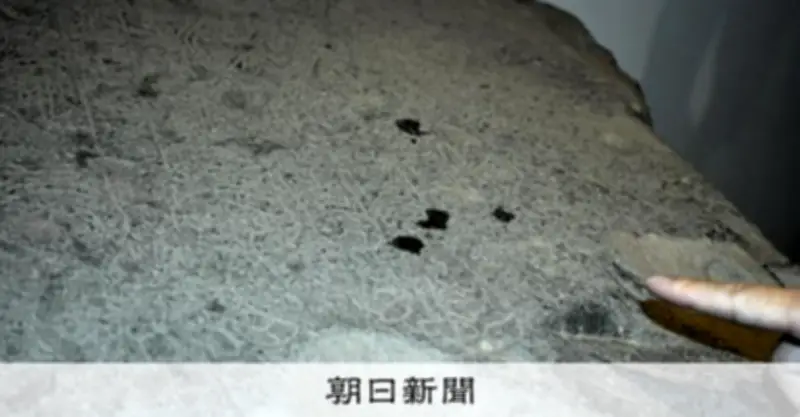 薬師寺の国宝「仏足石」に液体の跡　文化財保護法違反容疑で捜査中
