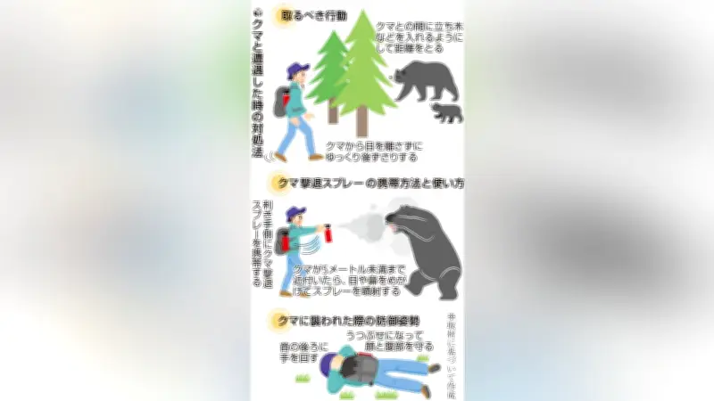 札幌市街地でヒグマ目撃、春の遭遇リスク高まる…専門家が語る予防策と対処法