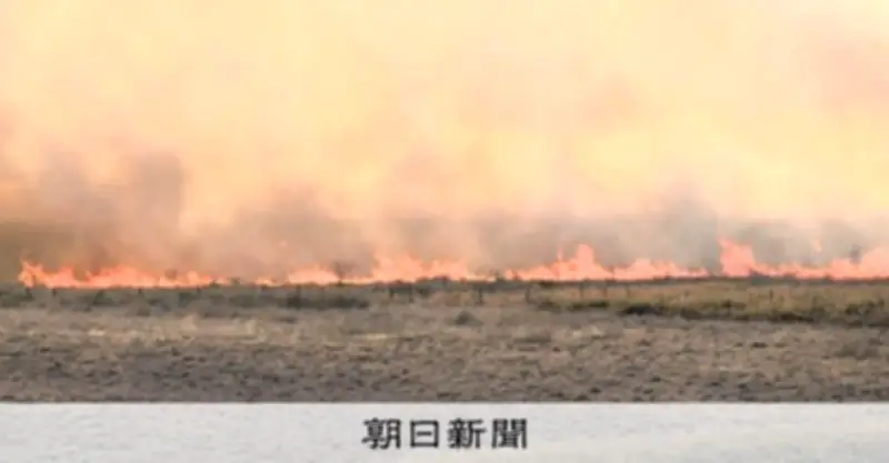 北海道・納沙布岬近くで草地火災、住宅地に迫る 自衛隊に災害派遣要請