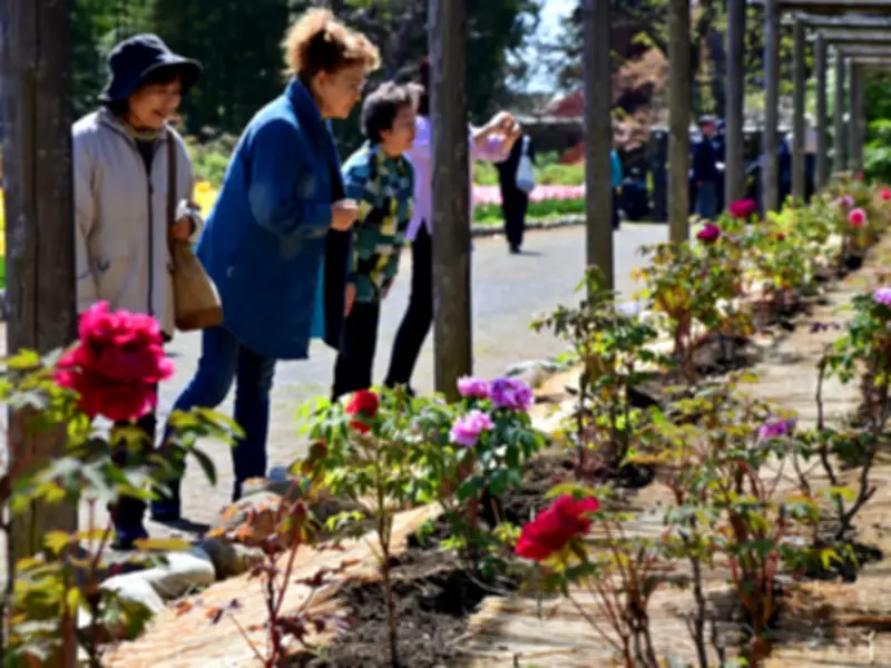 福島県で新たな避難指示解除へ　復興庁が特定復興再生拠点区域の整備計画を発表