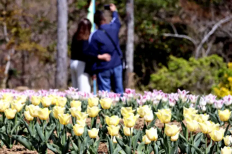 福島県いわき市で新たな太陽光発電所が稼働開始、再生可能エネルギー拡大へ