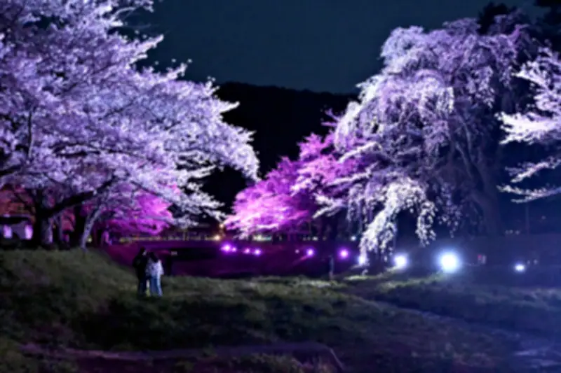 福島県の新たな観光戦略が発表、地域活性化へ向けた具体的な取り組みを展開