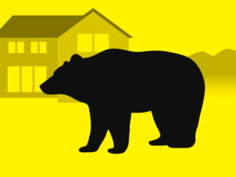 仙台中心部の住宅街にクマ１頭が滞在　箱わなで捕獲試みるも未だ確保ならず